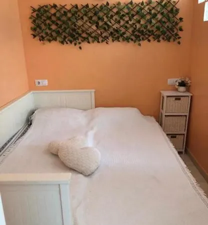 Simba Apartmente * Torrevieja